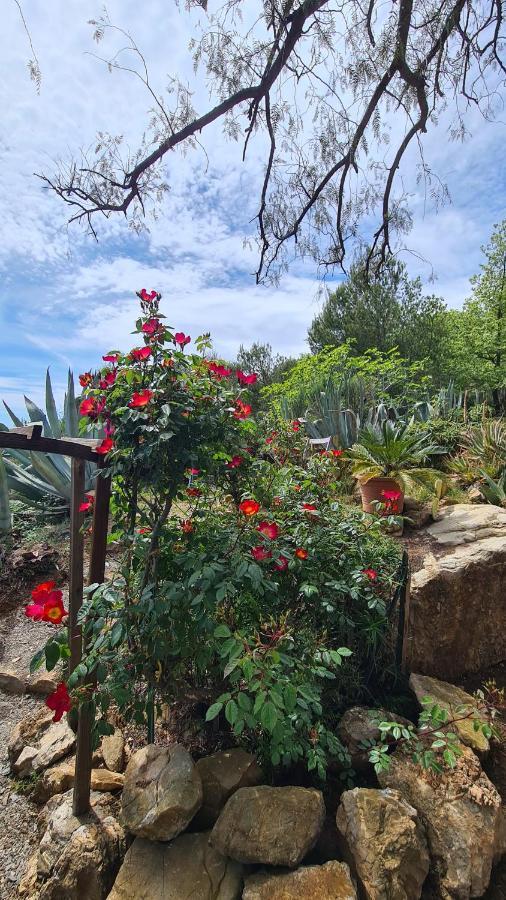 Casa Merea 16 Costa d'Oneglia Экстерьер фото